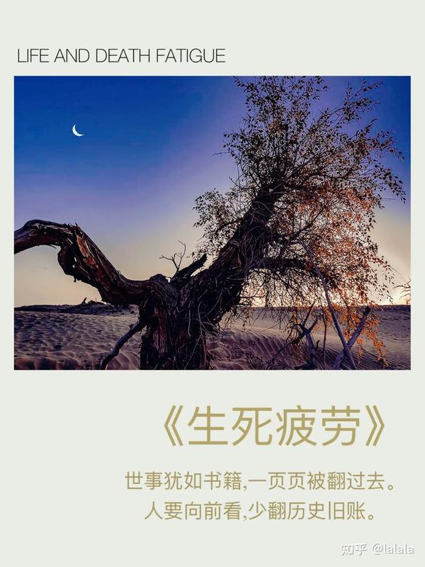 《生死疲劳》美句摘抄 - 知乎