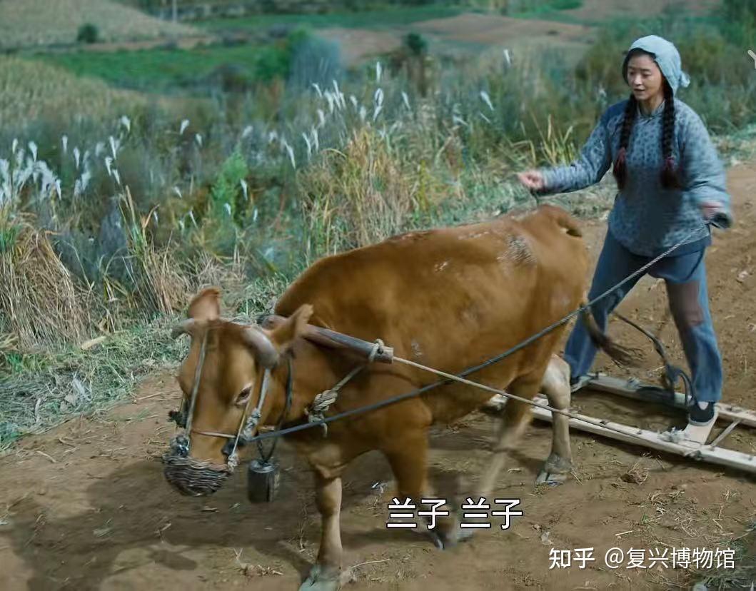 这对奉行"好男人走到县,好女子不出院"古训的山里人来说,已让人刮目相