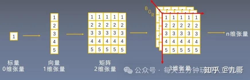 人工智能入门-01-张量与标量 - 知乎