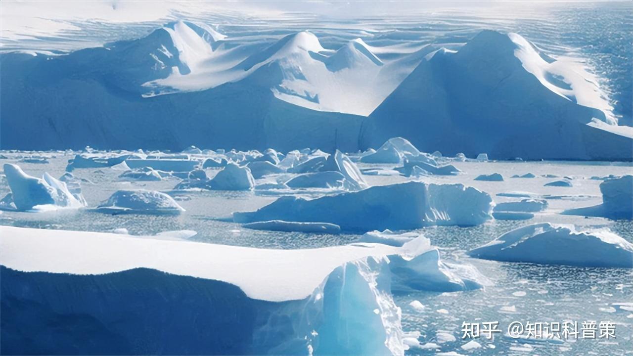 南极海冰面积创历史新低,会给当地生物生活造成哪些影响? 