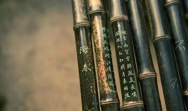 于千万 竹 之中的遇见 唯有你吐气如兰 最细致 完整的笛子竹材分析 知乎