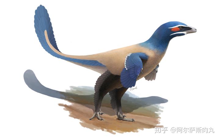 为什么大众仍然不接受鸟类源于恐龙？