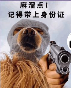 一组霸气狗狗表情包 - 知乎