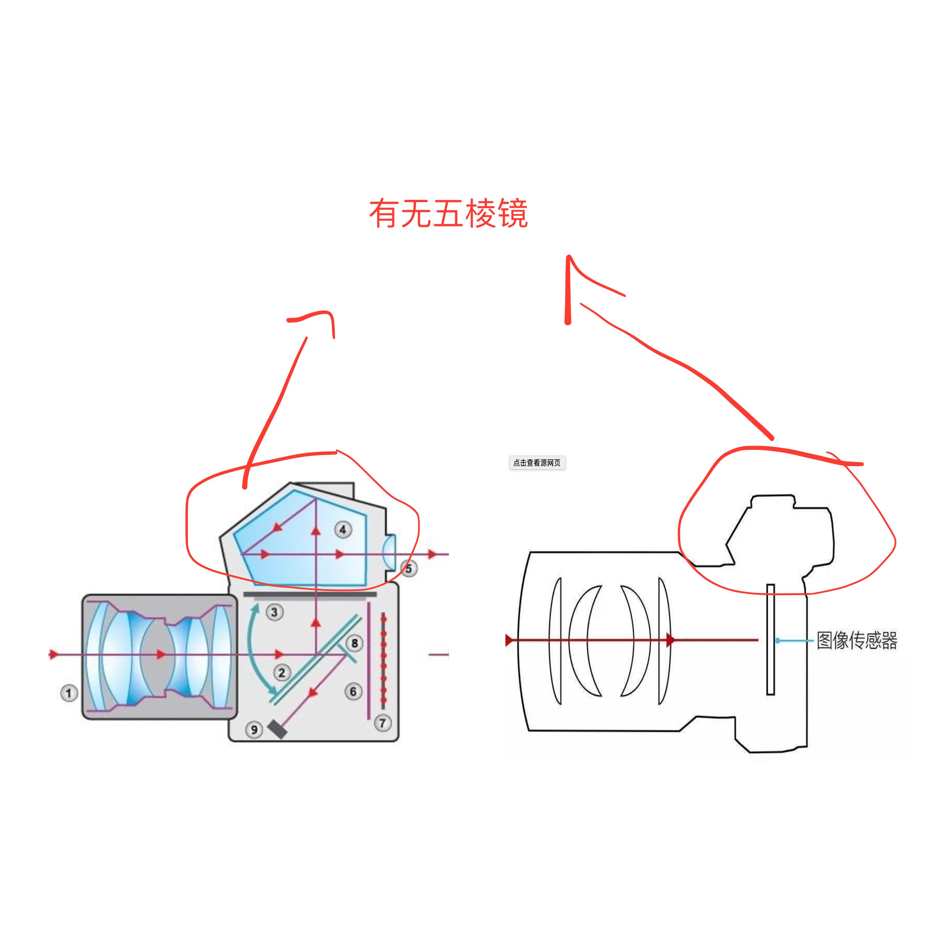 这是只给"女孩子"看的相机购买指南