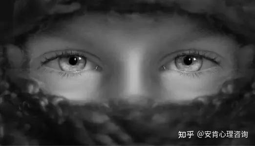 进村的东北虎更多细节曝光被老虎扑倒女子阴影后得了心理疾病