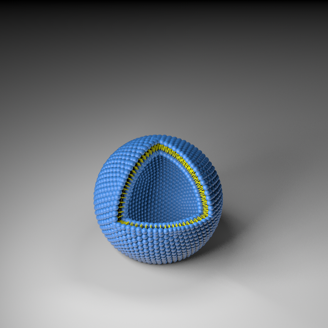 一篇搞定各种纳米粒子模型的绘制核壳结构介孔碳球多孔空心纳米球