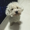裂空的挽歌
