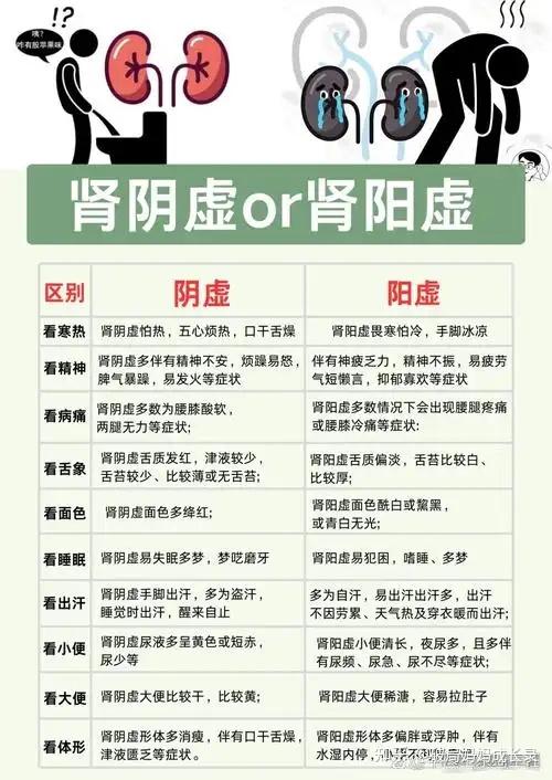 如何判断肾阴虚和肾阳虚,怎样调理 - 知乎