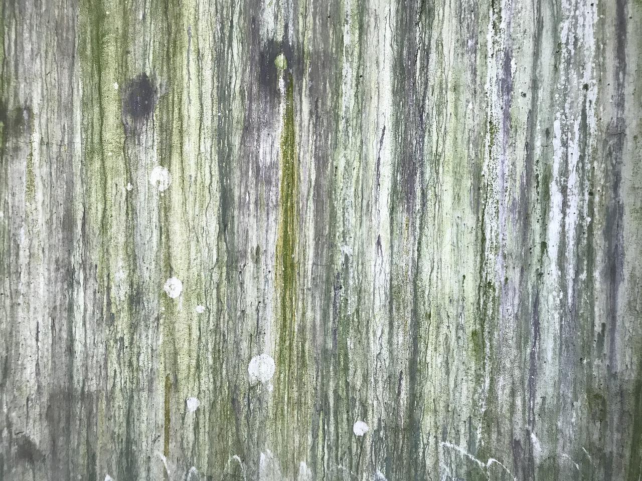 5. 地毯风格搭配