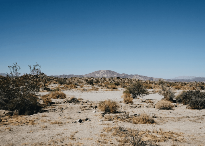 2026年AI大模型API中转平台深度测评：88API、OpenAI官方、其他平台全方位对比 - 知乎