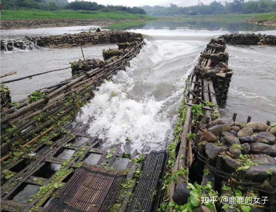 鱼梁道示意图图片