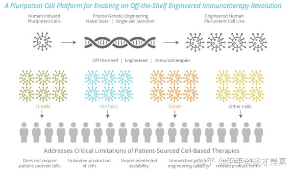 Fate therapeutics обзор