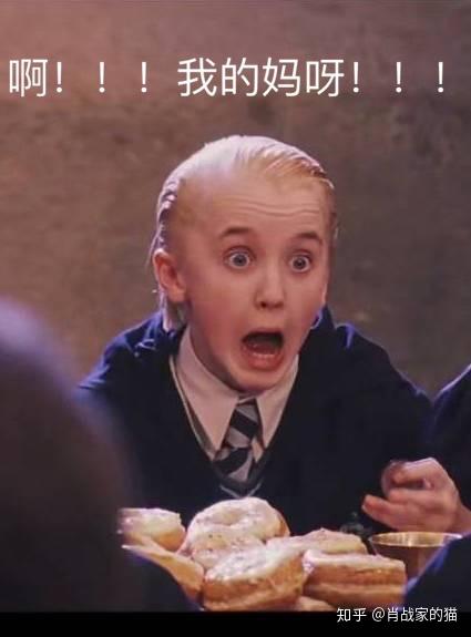 有哪些哈利波特迷才懂的梗