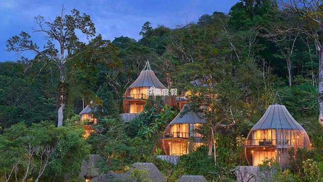 泰国普吉岛最惊艳树屋酒店住四付三满足你对森林的所有幻想