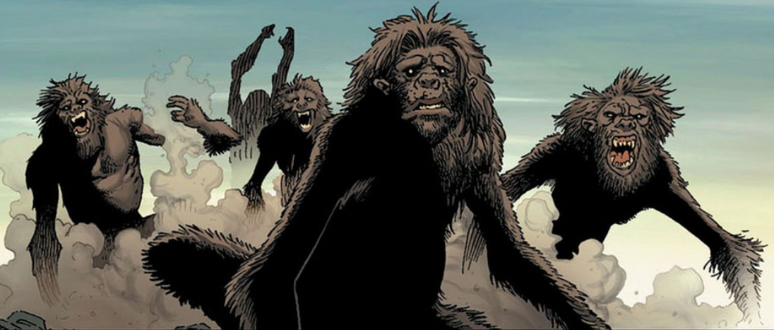 到"能人种"homo habilis阶段再到"直立人种"homo erectus阶段,人科