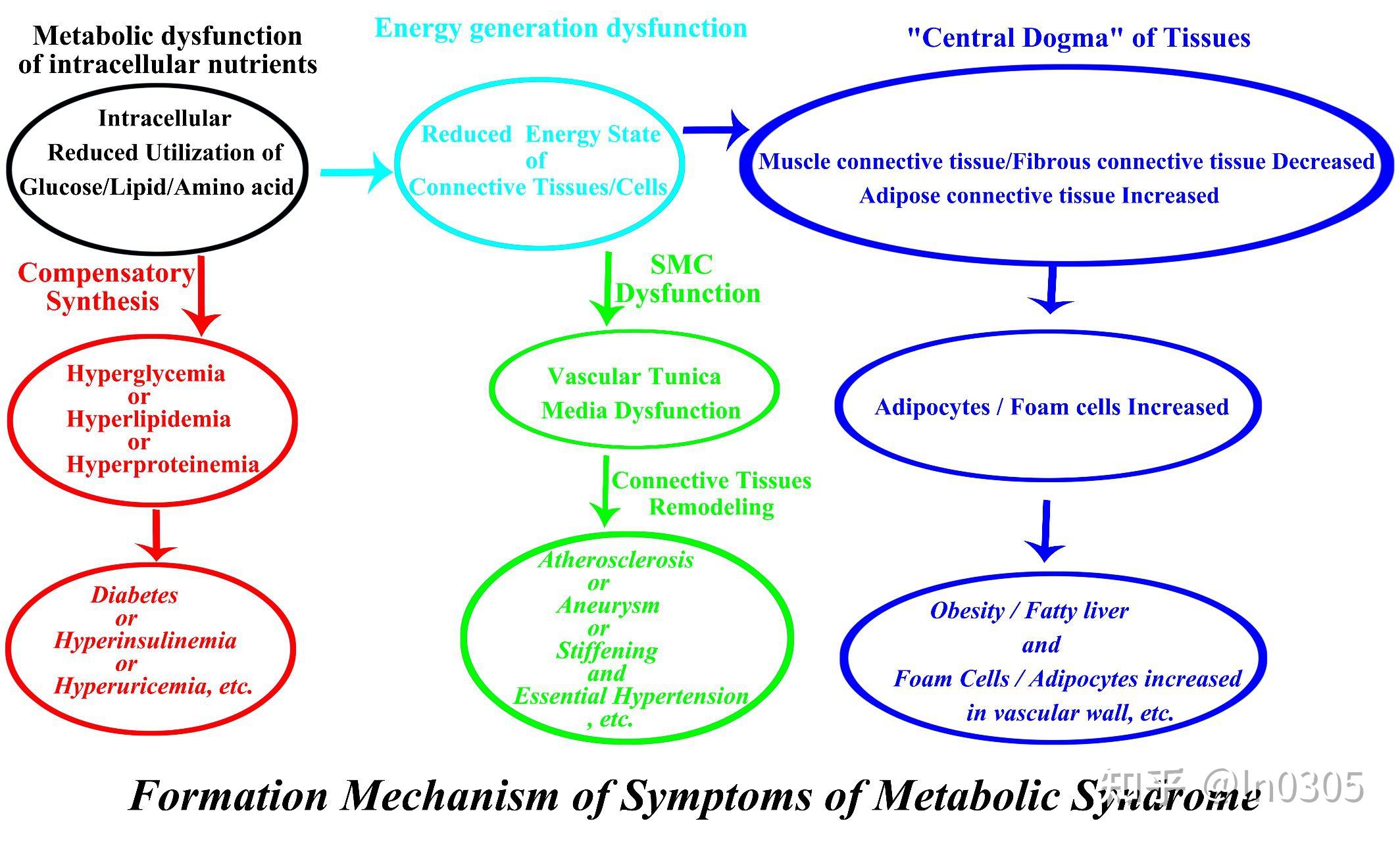 Mechanism Of Metabolic Syndrome mechanism-of-metabolic-syndrome