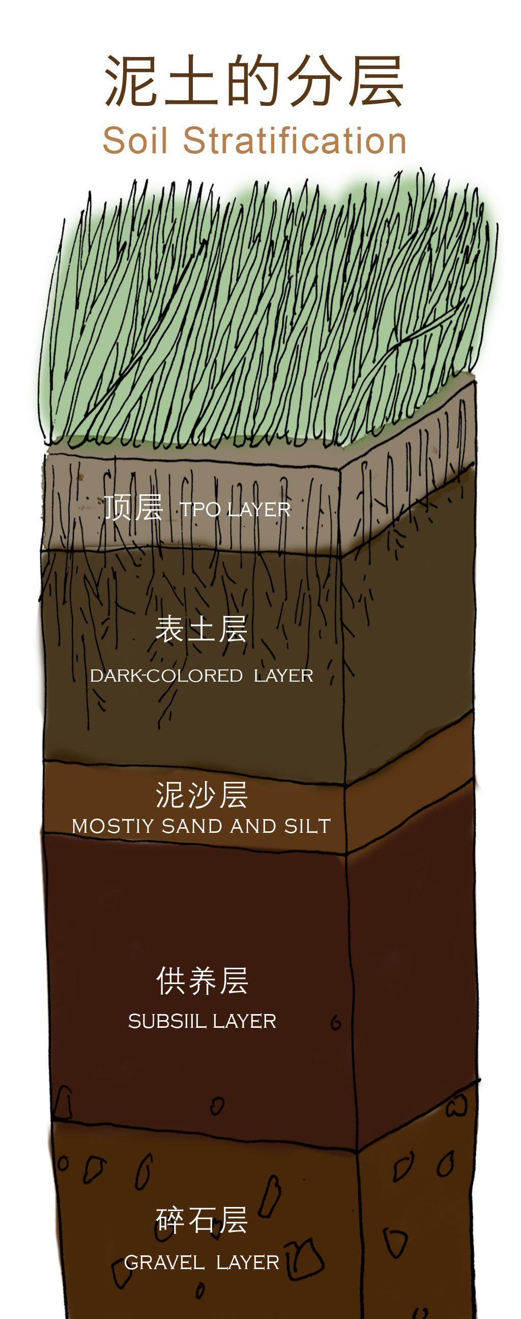 decomposed organic matier like leaves and branches表土层:这个