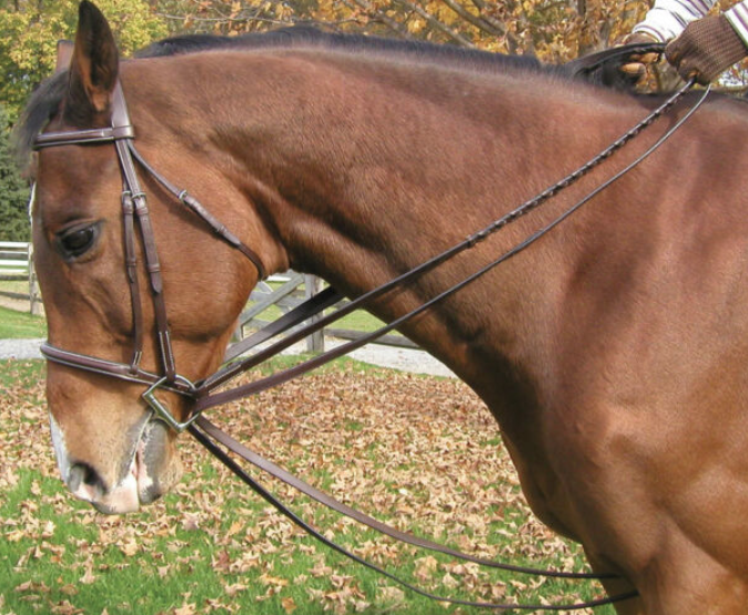 常见的训练辅助装备-Draw Reins & Side Reins-前篇 - 知乎