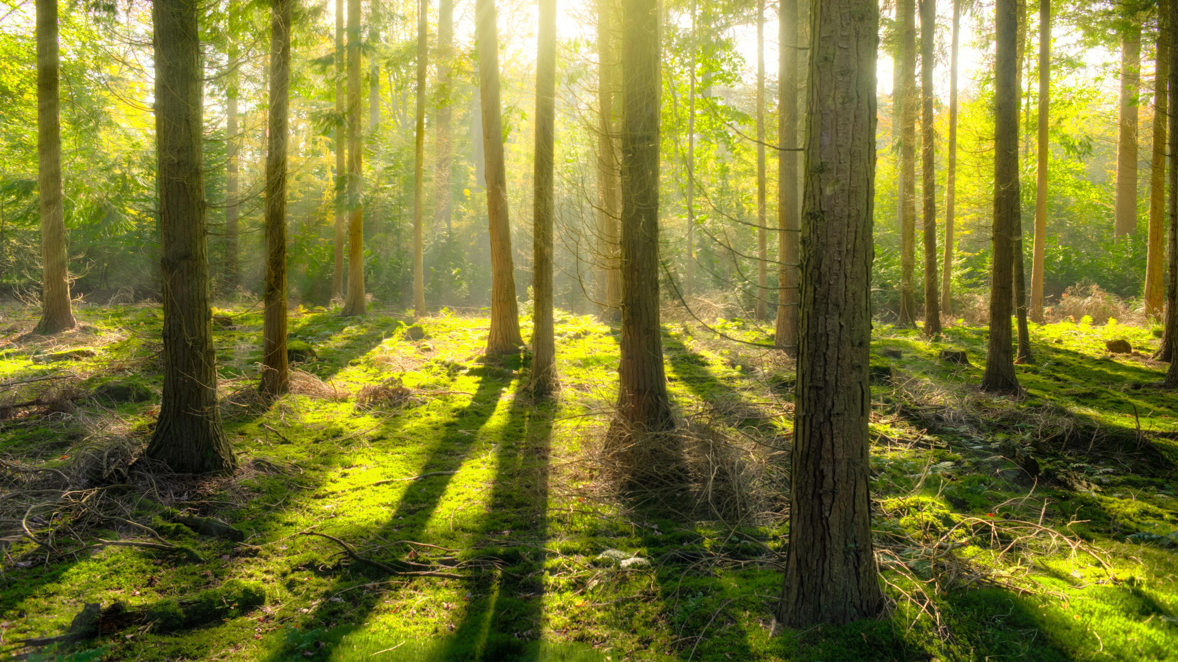 卷积神经网络CNN中的参数量（parameters）和计算量（FLOPs ）