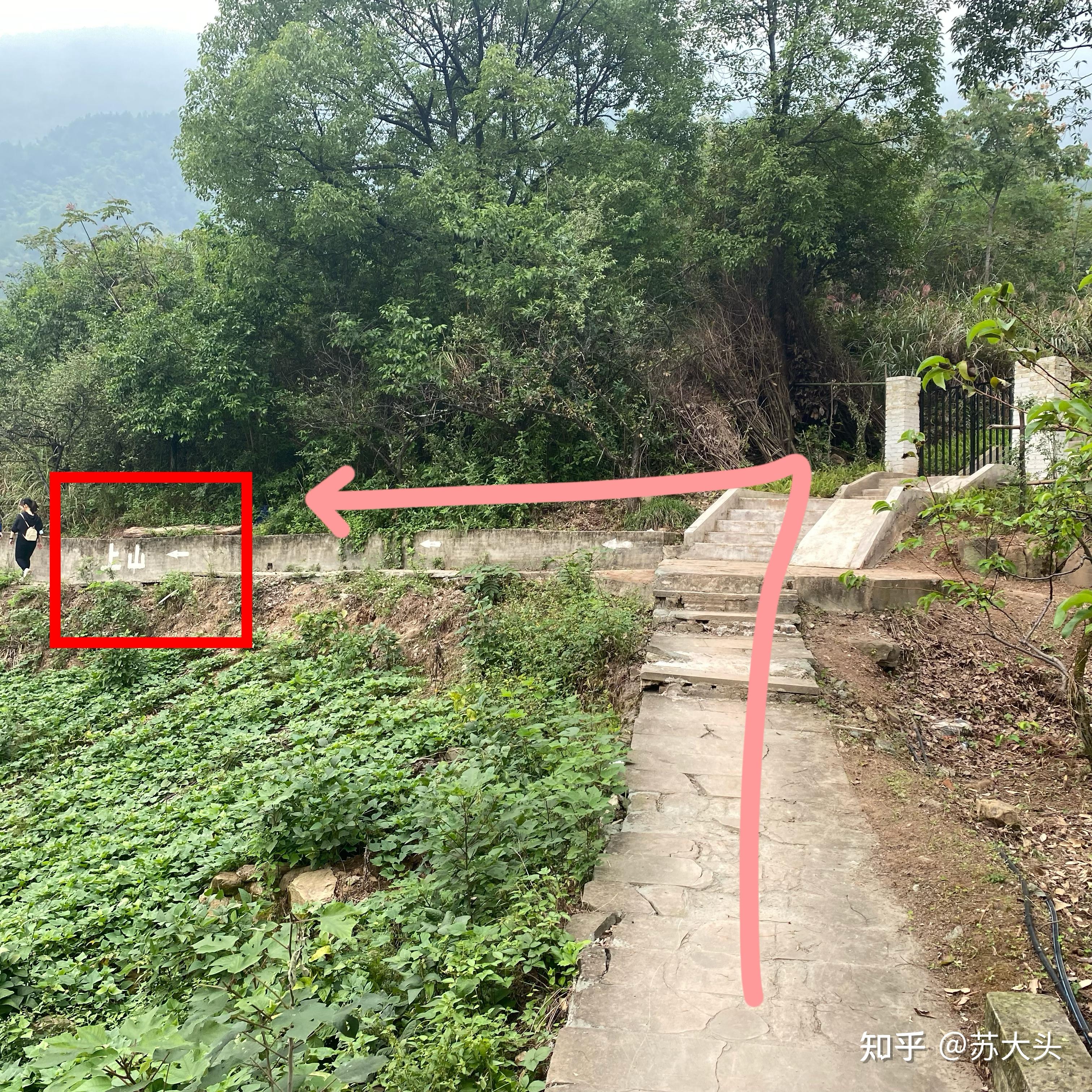 重庆徒步爬山圣地：缙云山免门票上山详细路线指引 - 知乎
