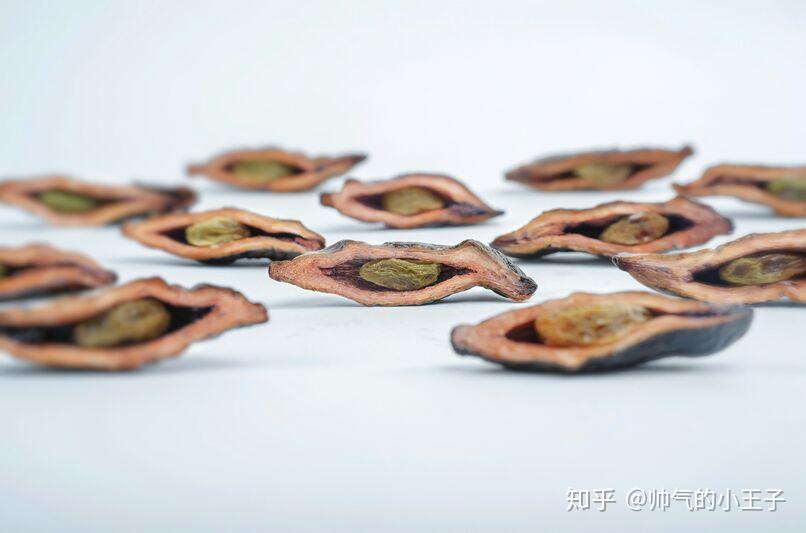 不健康但是好吃的东西嚼嚼吐出来能享受到食物