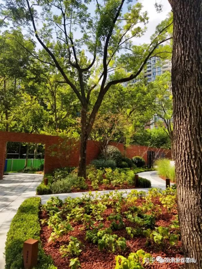 有机覆盖物案例与风共鸣的康余绿地