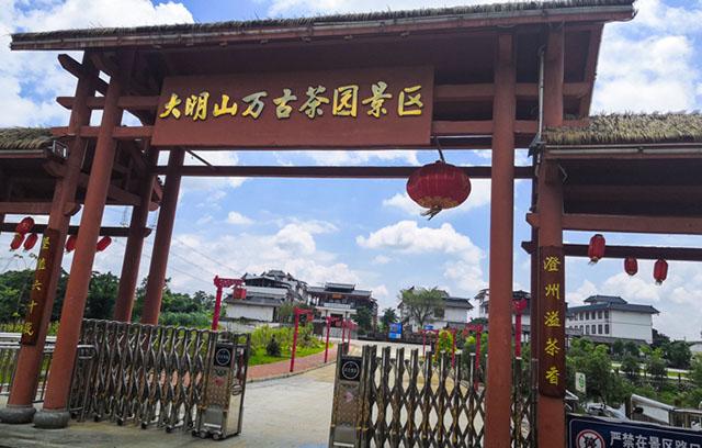 今天翼团建就给大家推荐一条南宁周边团建好线路——大明山万古茶园!