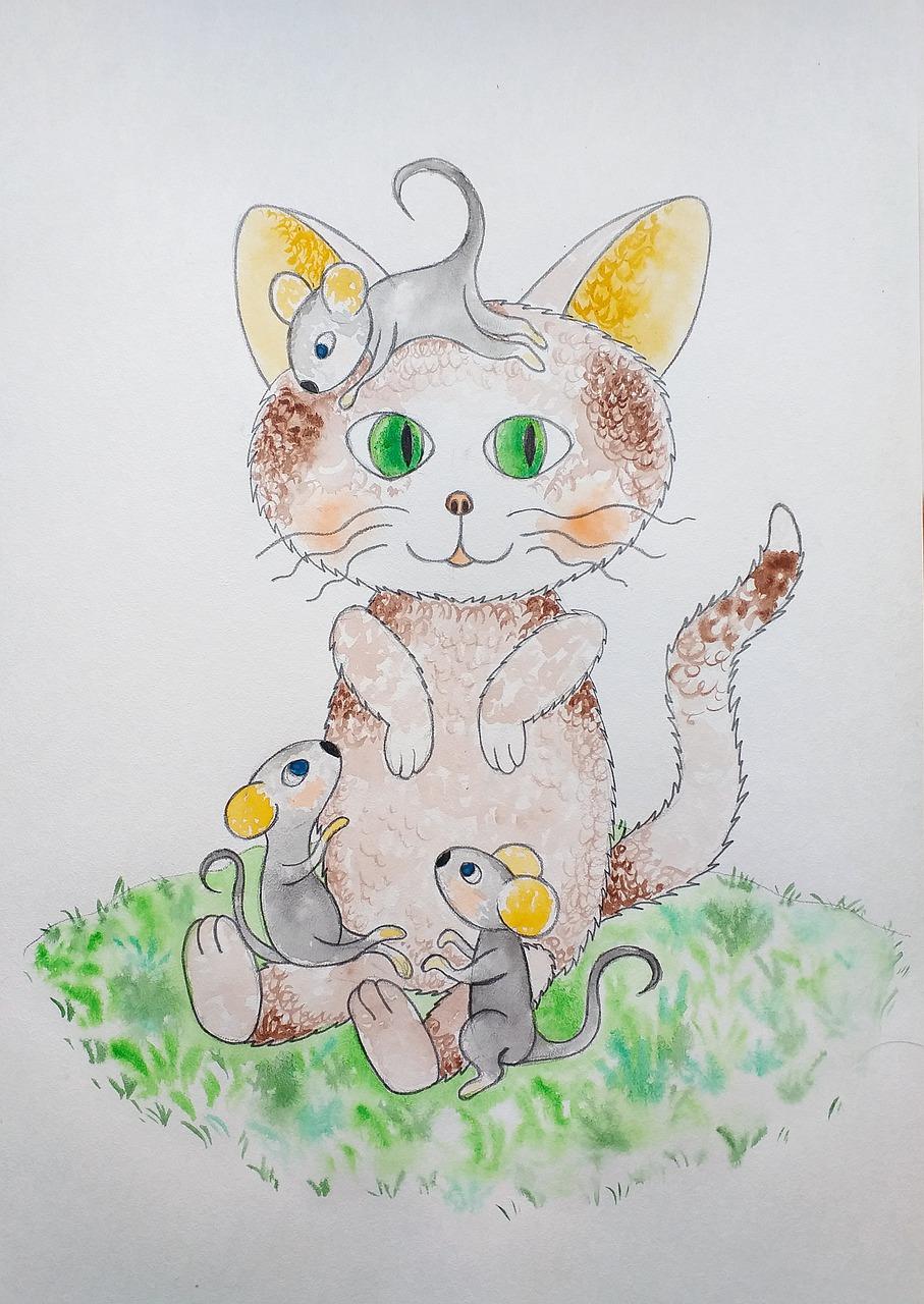 小猫的洗澡时光