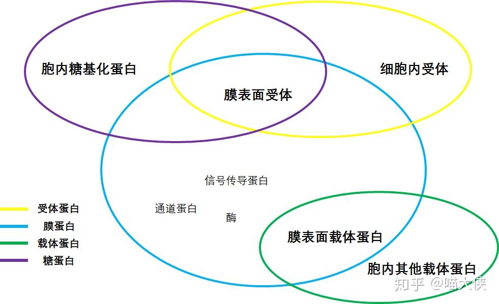v2-4e9b958ebfcbbbadc585568e10c1f900_r.jpg
