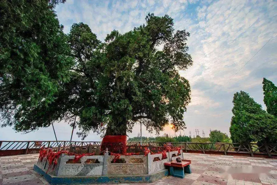 大禹渡又名神柏峪,究其名字的由来,当时,大禹在崖石上栽下一棵柏树