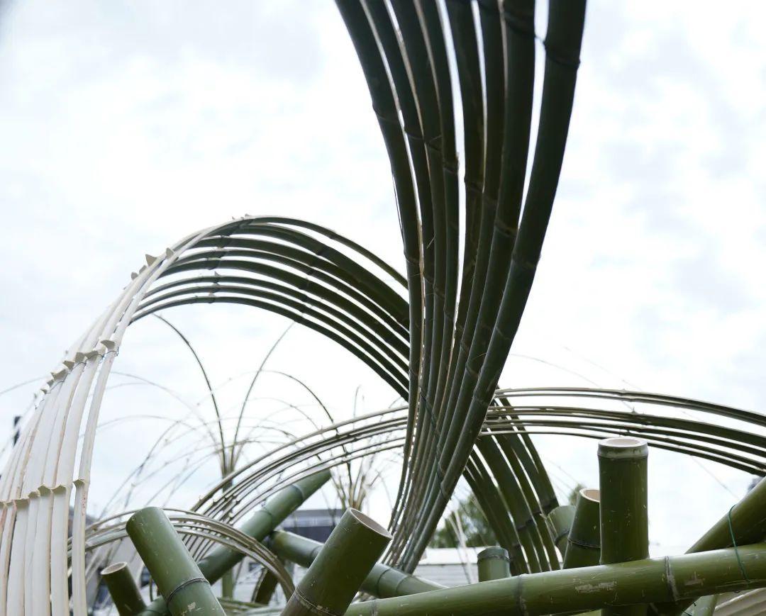 "竹"以承载的东方艺术美学的现代新生 - 知乎