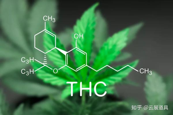 云展观察 大麻不能吸 但是可以做化妆品 知乎