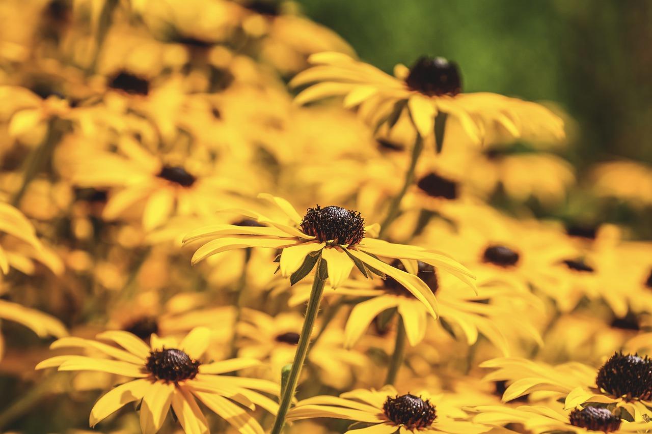 高温期施工安全要点