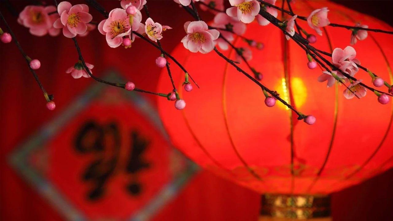新年祝福语鼠年祝福语大全 知乎 新年祝福语鼠年祝福语大全 知乎