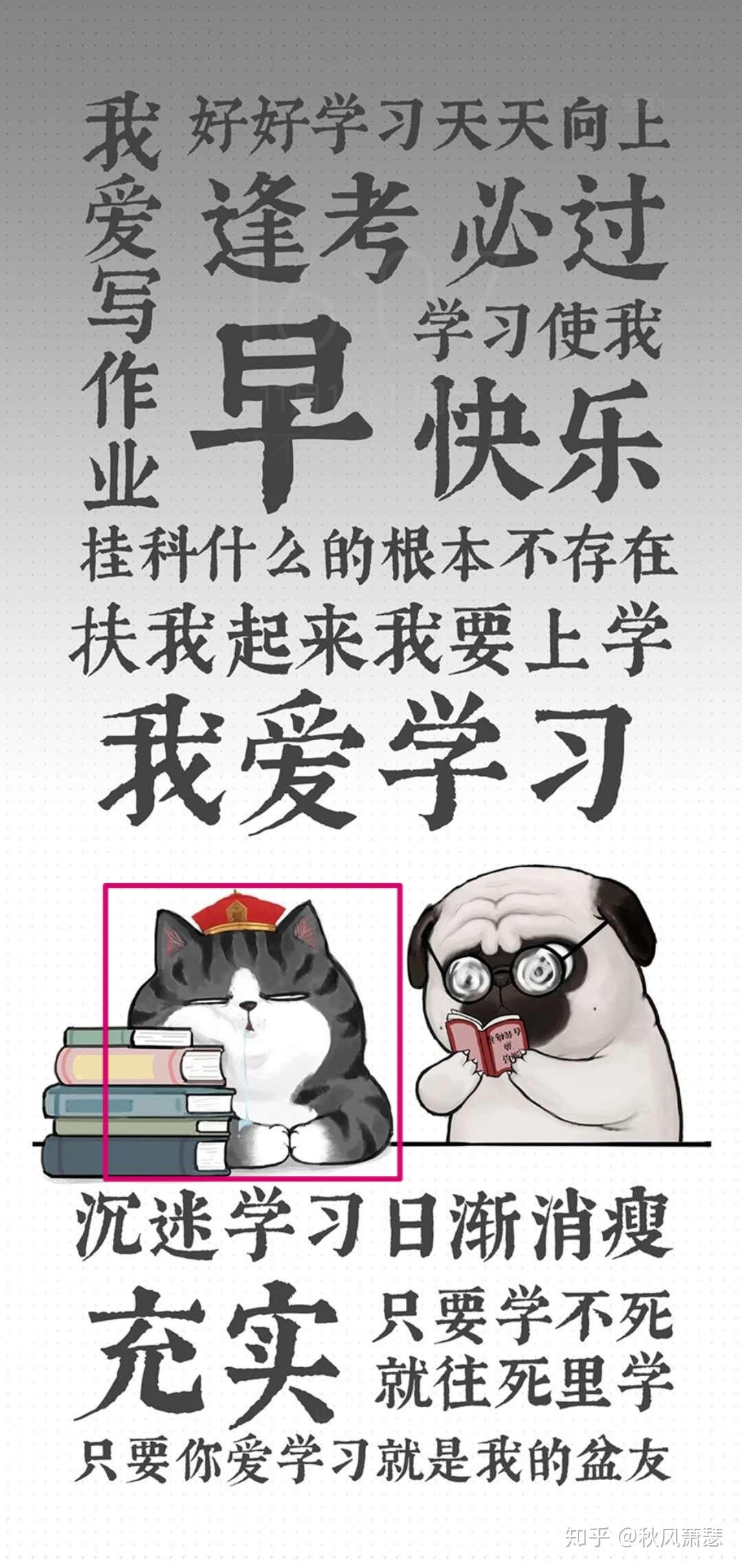 学习使我妈快乐我妈快乐全家快乐