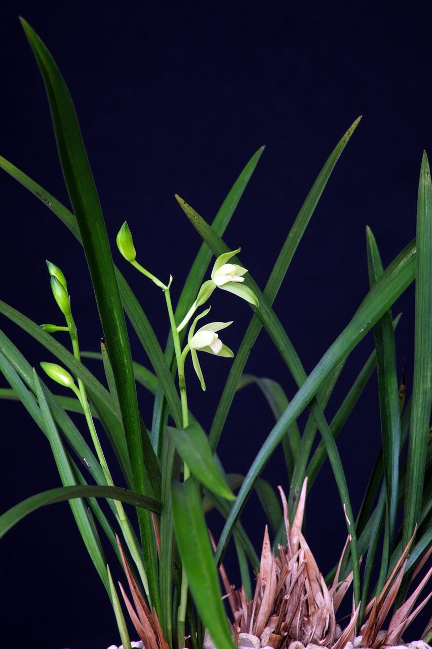 4. 通气排水处理