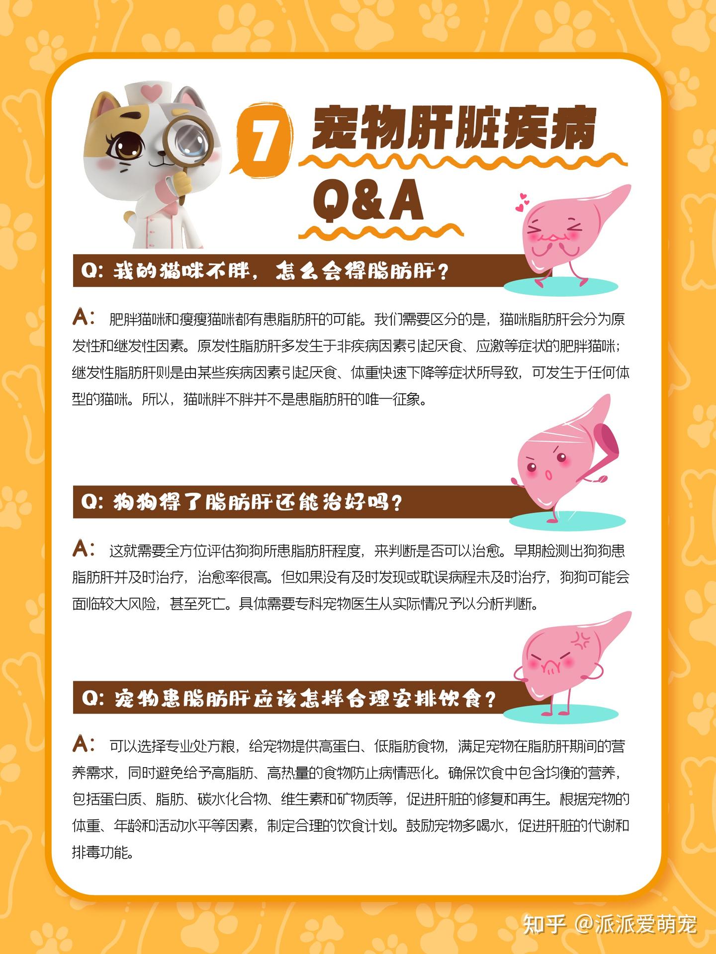 猫咪不胖,却得脂肪肝?“爆改”饮食搭配,回归健康好身体! - 知乎