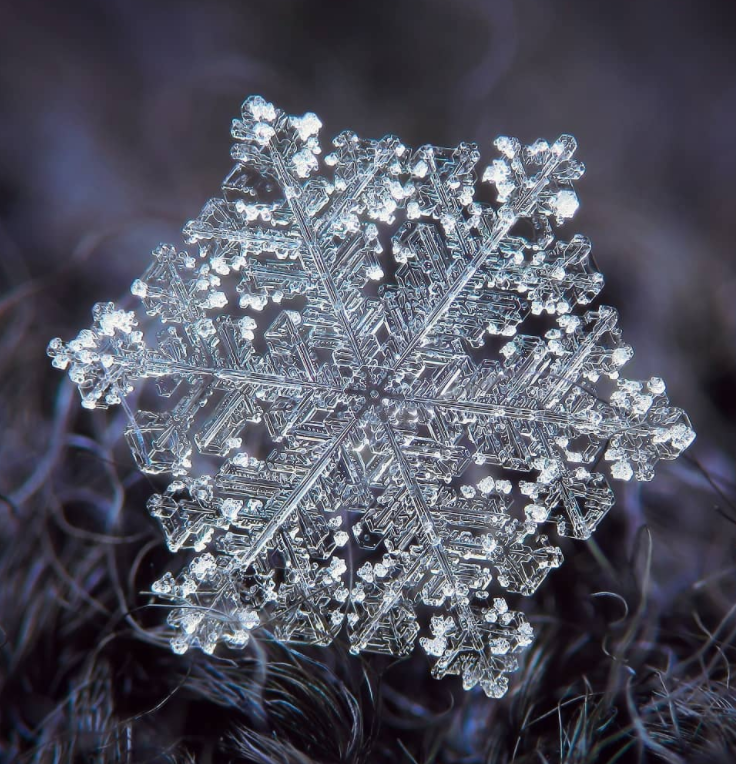 雪花微距图片