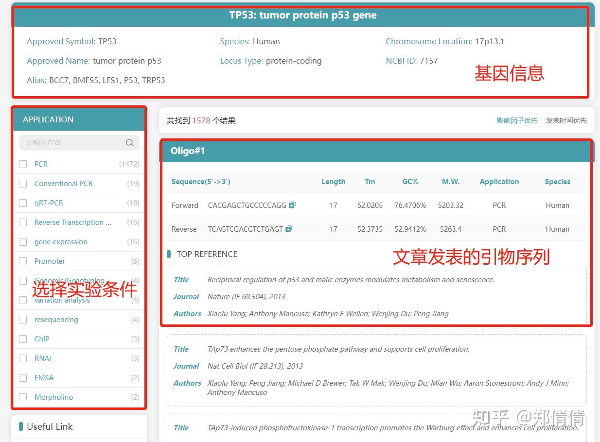 为什么体外PCR用DNA做引物而体内的用RNA做引物百度知道