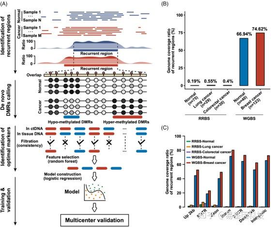 易基因｜ctDNA甲基化测序分析（ctDNA-WGBS）用于癌症检测和分子分型 | 精准医学 - 知乎