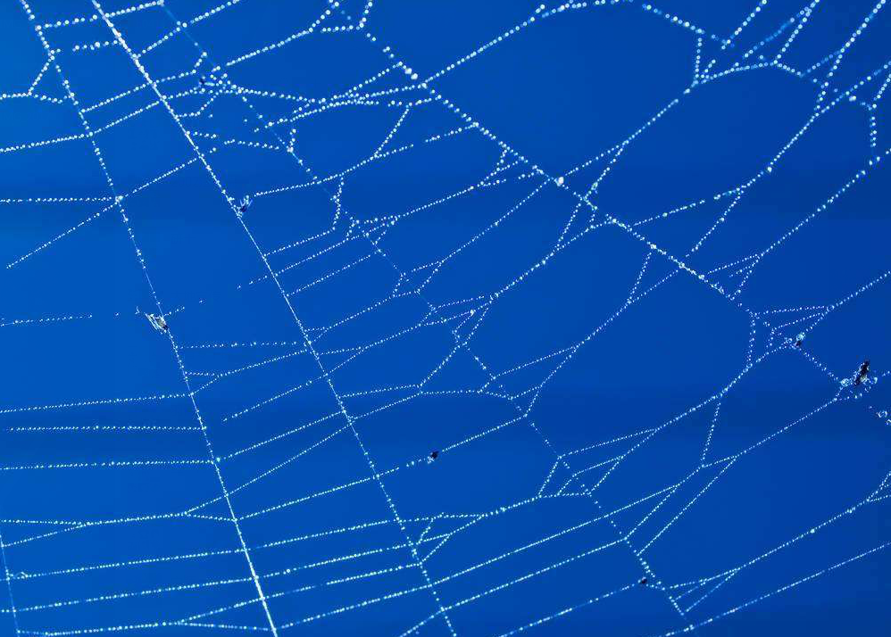 我们未能通过大过滤器