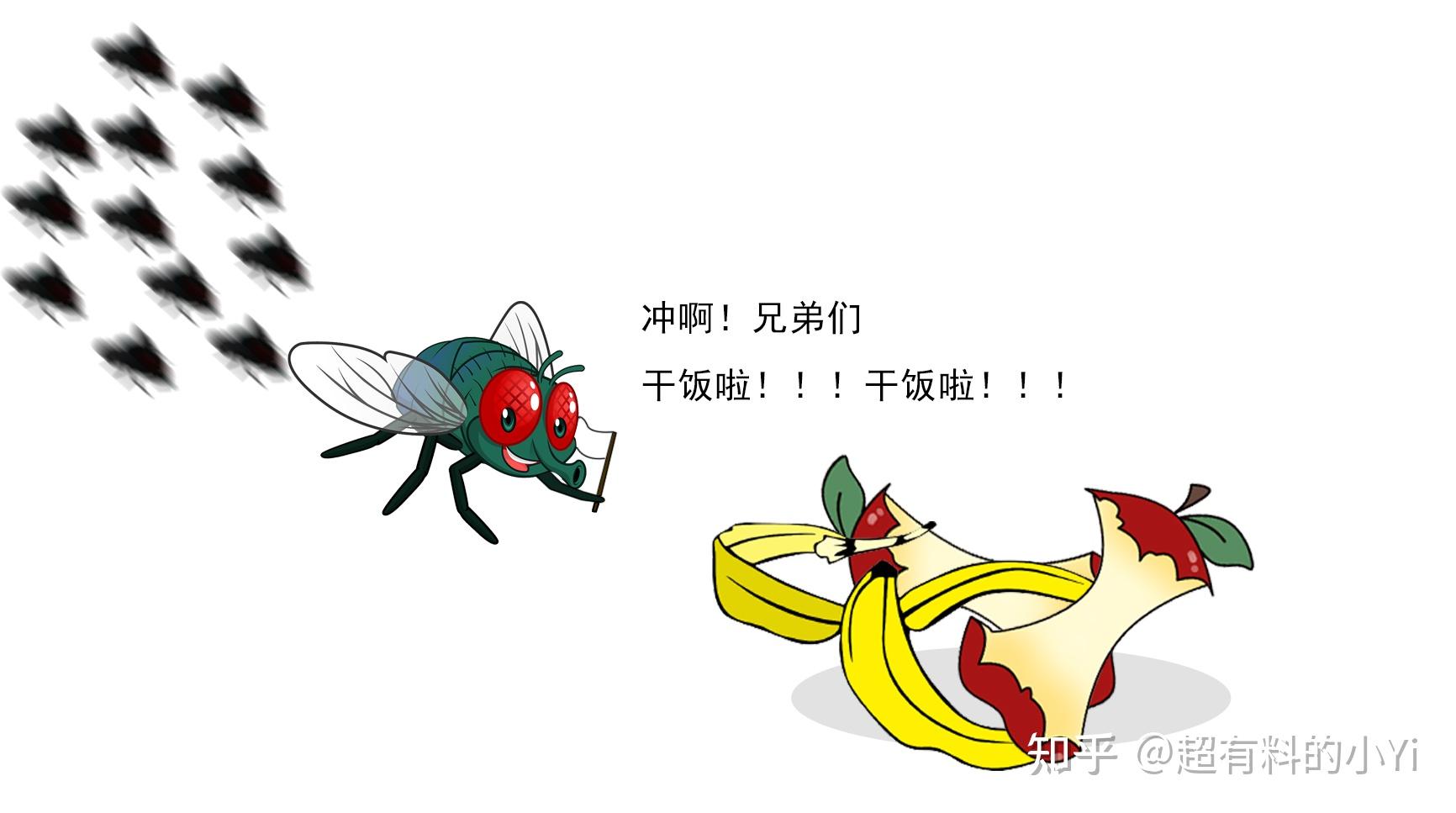 出现这个小黑虫就代表你需要打扫卫生了! - 知乎