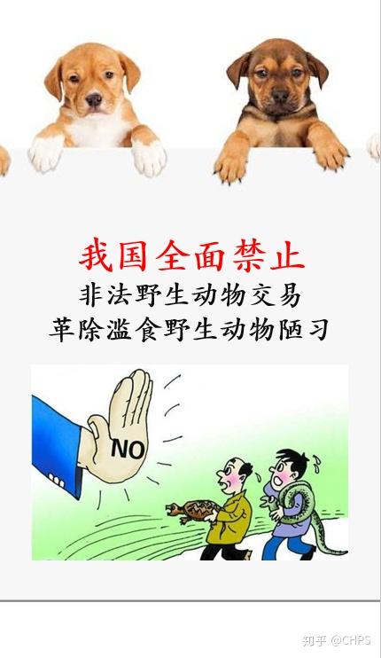 多年来最好的一个消息今日起我国全面禁止非法野生动物交易