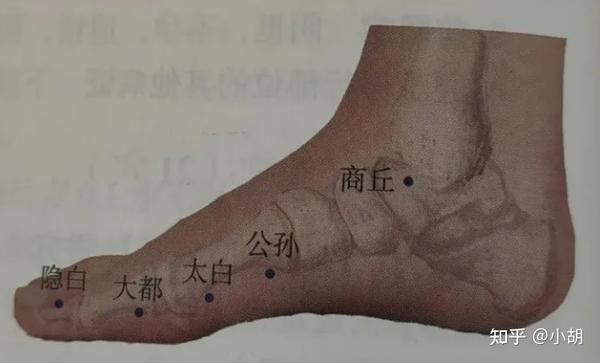 倪海厦针灸课笔记（11）足太阴脾经上 - 知乎