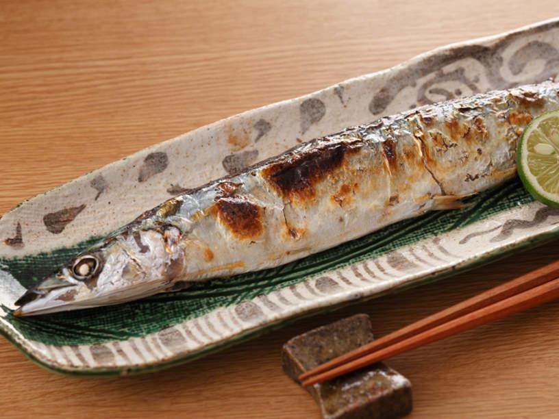 ヒアリング 秋刀魚 知乎