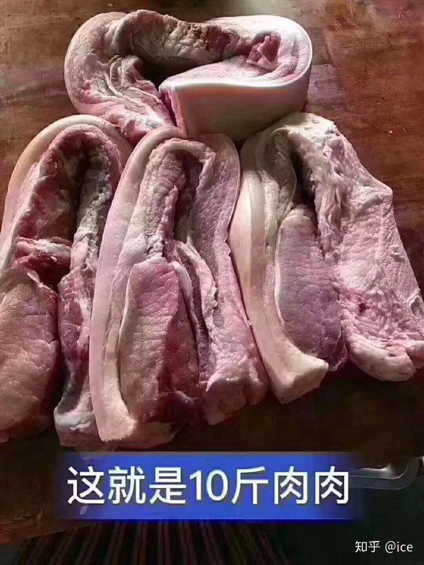 10斤肉实物图片图片