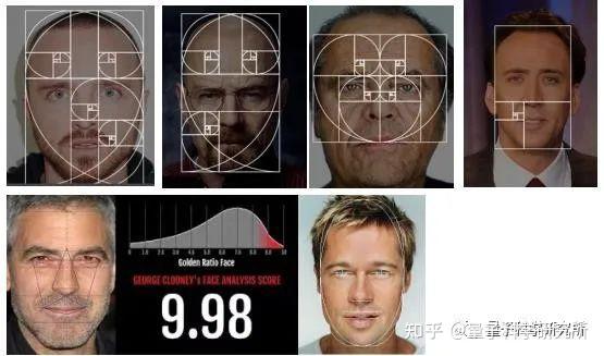 研究室量子分割之三人体黄金分割