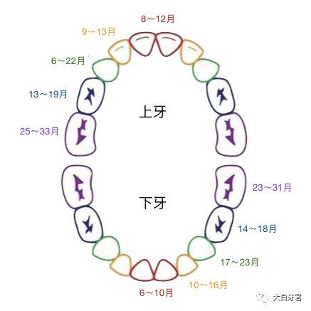 宝宝一岁了还不长牙这正常吗