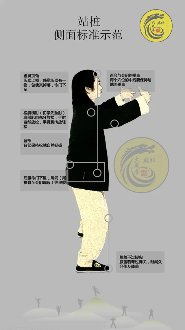 站桩的好处功效与作用站桩的神奇功效