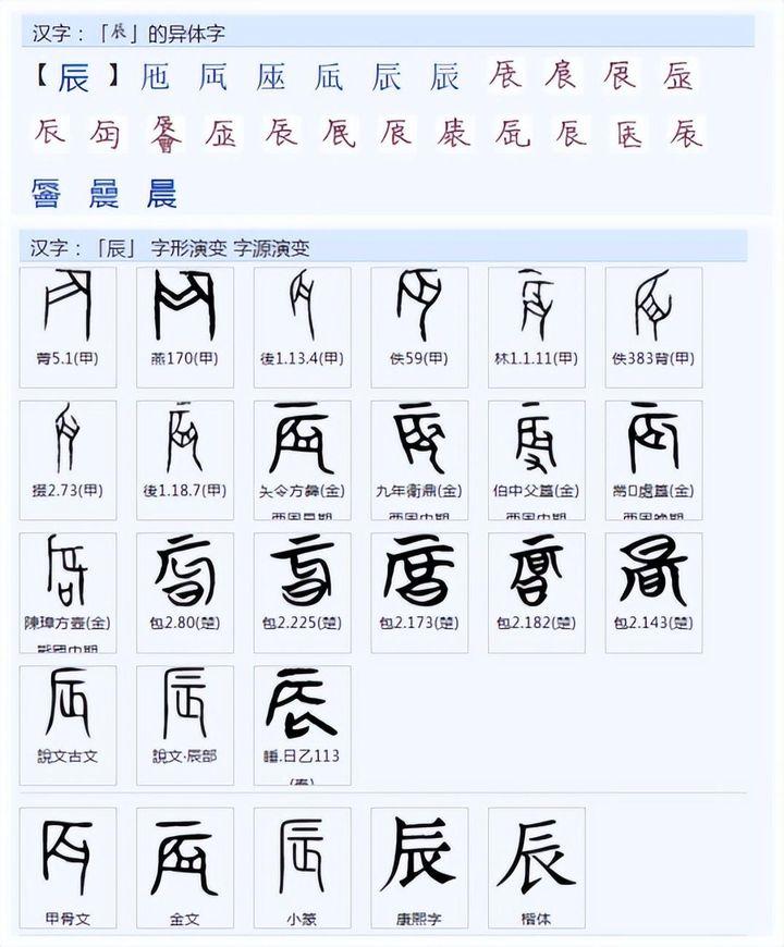 子丑寅卯辰巳午未申酉戌亥十二地支分别是什么意思? - 知乎